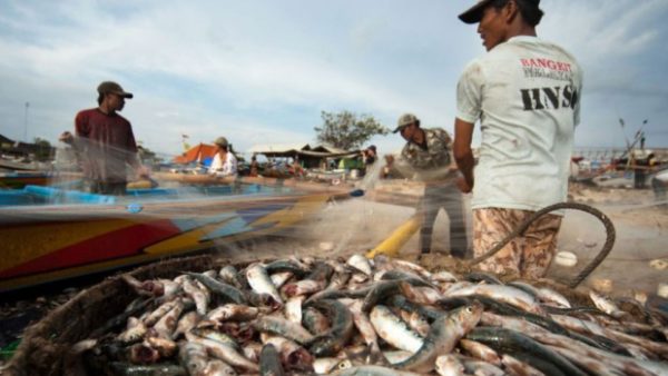 A study done for Swiss food retailer Nestlé found that migrant workers in the Thai seafood industry are often abused and paid so little they cannot refund fees to labour brokers. (Verité)