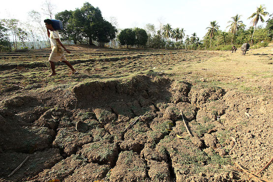 A farmer walks by a parched pond in a remote village in Libungan, North Cotabato. The province is one of the most heavily affected by El Niño damaging thousands of hectares of agricultural land. KEITH BACONGCO