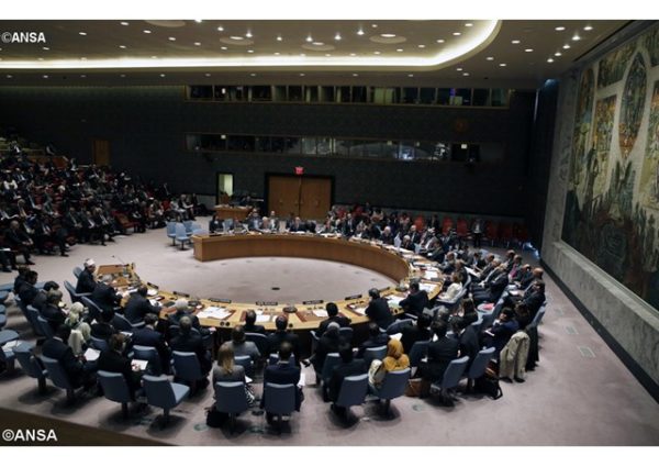 A meeting of the United Nations Security Council in New York. - ANSA