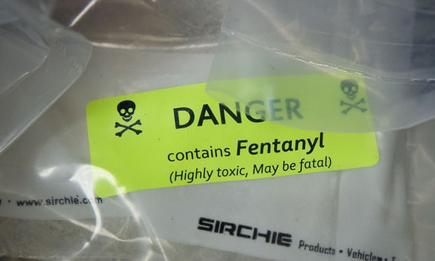 Fentanyl is up to 100 times stronger than heroin. Its analogue carfentanyl is 10,000 times stronger. Photograph: Drew Angerer/Getty Images