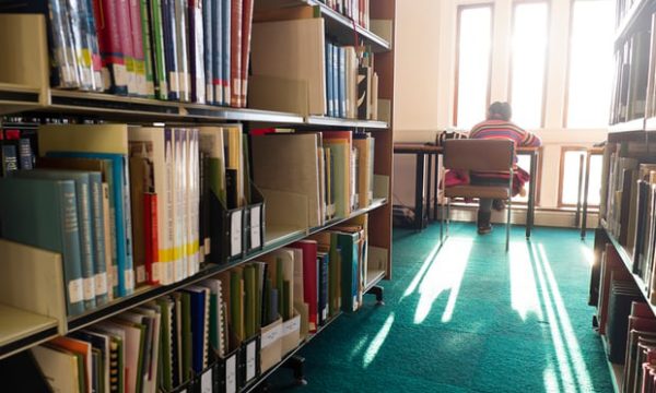 A student working in a library. Photograph: Photofusion/UIG via Getty Images