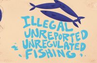 [WATCH] IN NUMBERS: Illegal, unreported, and unregulated fishing in the Philippines