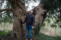 Trees: 'Our 5,000-year-old yew should be revered - not ignored'