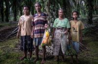 Palm oil firms depriving tribes of millions of dollars