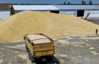 Is Russia exporting grain from Ukraine?