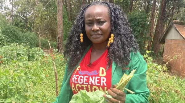 Why Kenya is turning to genetically modified crops to help with drought