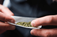 Committee recommends decriminalising, regulating drugs
