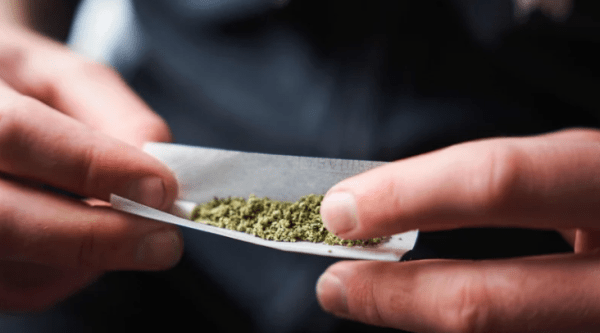 Committee recommends decriminalising, regulating drugs