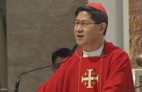 Pope Francis removes Tagle, other leaders from Caritas Internationalis