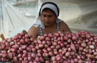 Cost of living: How onions became a luxury in the Philippines