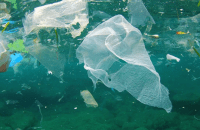 [OPINION] The urgent need for a national single-use plastic ban