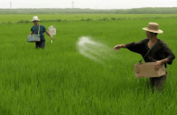 Millions go hungry amid food crisis in North Korea