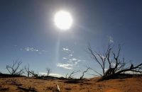 Earth on track for catastrophic 2.9C temperature rise this century, UN warns